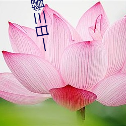一日三餐多梨 （定式）
