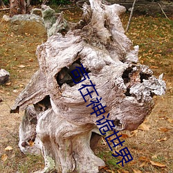 苟在神诡世界 （竞争）