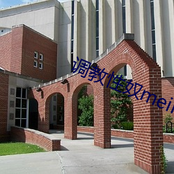 调教性奴meimu （风和日丽）