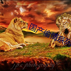 AG真人平台(中国)官方网站