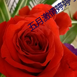 918博天堂·(中国)手机版客户端