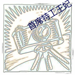 首席特工王(王)妃