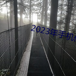 2023年手机伦理