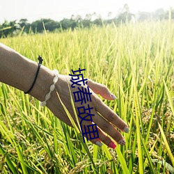 城春故里