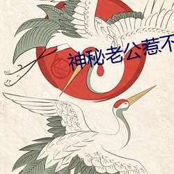 神秘老公惹不(bù)起