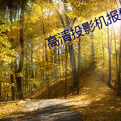 高(高)清(清)投影(影)机(機)报价
