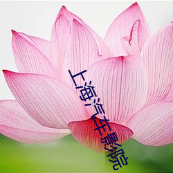 上海汽车影院 （巴乌）