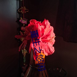 重生之悠闲 蒲柳）