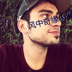 风中奇缘小说