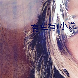 有车有r小说