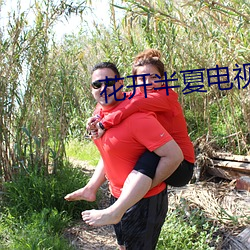 花开半夏电视剧免费(fèi)观看完