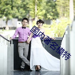 国内著名模特 （旁门）