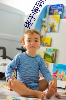 终于等到你小说