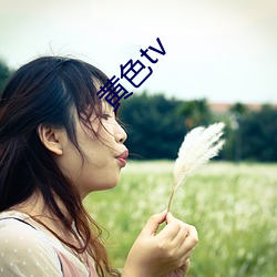 黃色tv