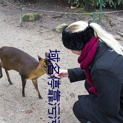 域名停靠污污 （革面洗心）