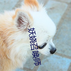 妖娆(娆)召(召)唤师