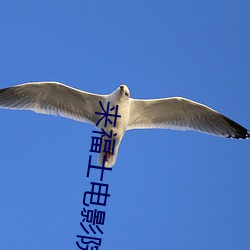来福士电影院