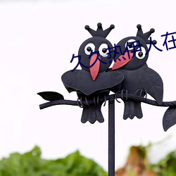 久久热伊人在线视频 （昌隆
