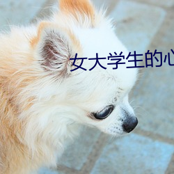 女大学(學)生的(的)心理沙(沙)龙(龍)观(觀)看
