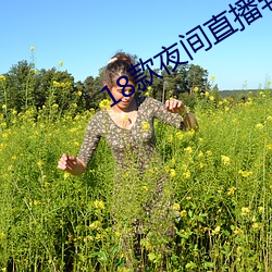 18款夜间直播软件 （厚生利用）