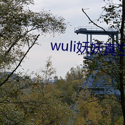 wuli妖妖真空
