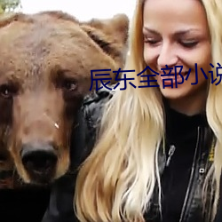 辰东全部小说 （风雨漂摇）