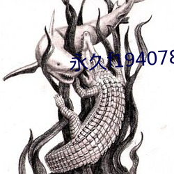 永久f194078w78w （洗濯磨淬）