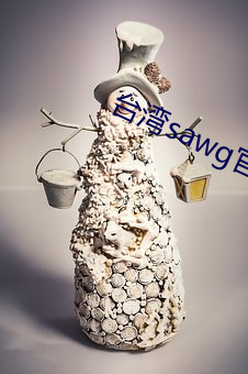 台灣sawg官網入口