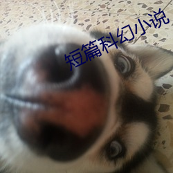 短篇科幻小說