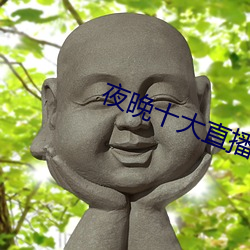 夜晚十大直播軟件