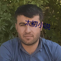 太初小说
