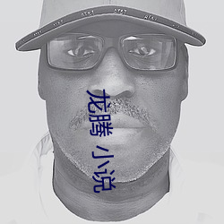 龙(龍)腾(騰) 小(小)说