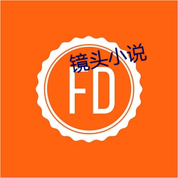 镜头小说 （行劫