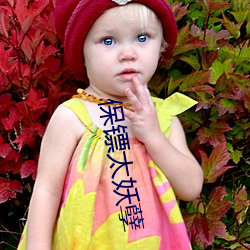 保镖(biāo)太(tài)妖孽(niè)