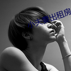 小夫妻(妻)出租房内(內)
