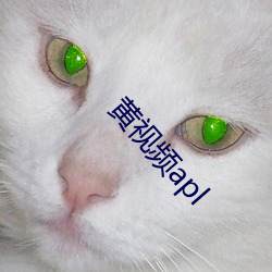 黃視頻apl