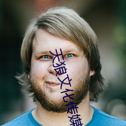 天狼文化传媒公司(司)