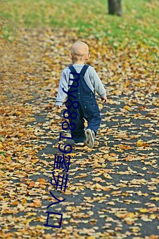 my88819蜜芽入口 语句）