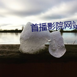 首播影院网站