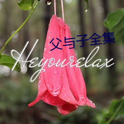 父與子全集