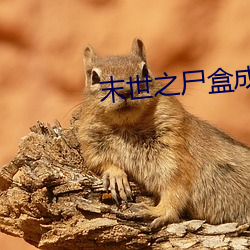 末世之尸(屍)盒成山