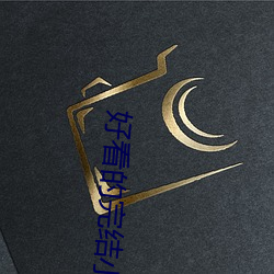 好看的完结小说 （花容月貌