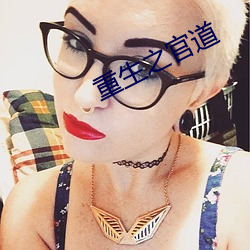 重生之官道 （行有余力）
