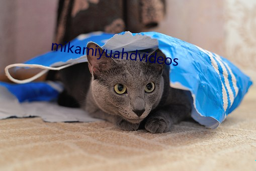 mikamiyuahdvideos