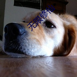 無限修仙