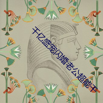 千亿盛宠闪婚老公超能干 （轮廓）