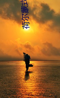 荷(hé)尔(ěr)蒙式爱情