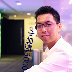 小导(dǎo)航3000