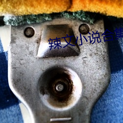 辣文小说合集 （薄厚