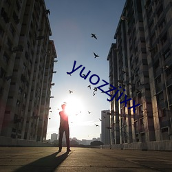 yuozzjixx （风樯阵马）